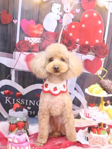 20250220なるくん